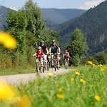Altenmarkt Holiday home